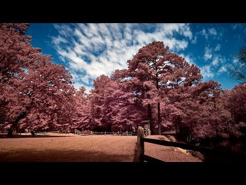 Playing with Full Spectrum Photography