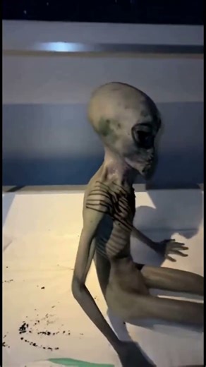 Bro What Just Happened 😂