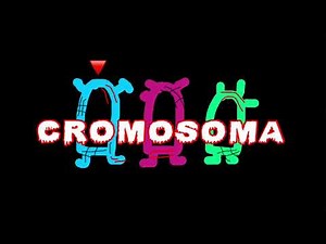 Chromosoma Logo (Lost Episode Variant) (LOOK IN DESC.)
