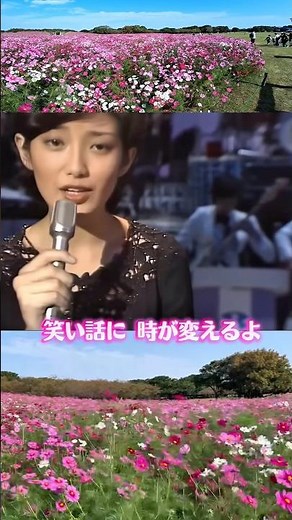 【山口百恵／秋桜】さだまさしさん作詞・作曲の名曲✨コスモスが咲くこの季節に聴きたくなる曲です #shorts #山口百恵#秋桜#コスモス#さだまさし#昭和歌謡