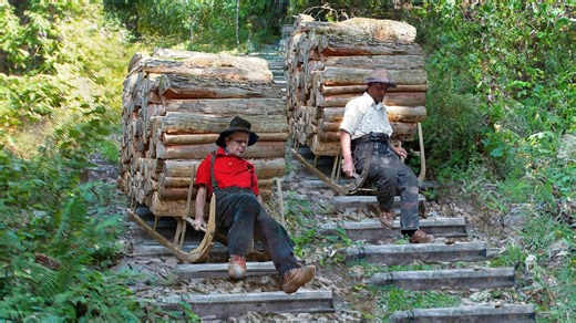 Unique method of log transport in French mountains