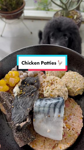 Chicken Patties 🐓 #rawdogfood #rawfeddog #rawfeeding #dogfood #homemadedogfood #fyp #mealprep