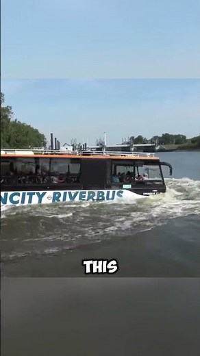Why Is This Bus Diving Into the Water? The Truth Is Wild!