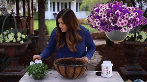 35K views · 1.4K reactions | One of the easiest ways to have beautiful container gardens this summer... emfl.us/ycYd | Proven Winners | Facebook