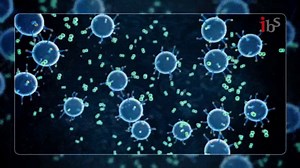 IBS researchers develop world’s first light technology to control proteins in living cells