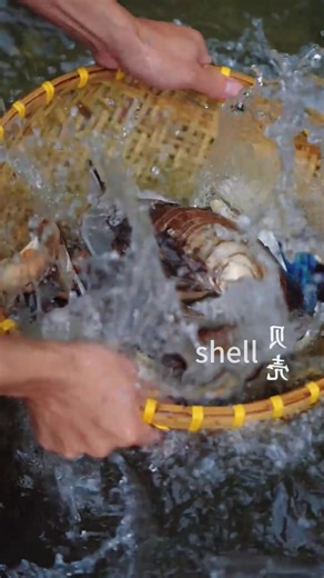 Celebrating Intangible Cultural Heritage: Shell Carving Tribute