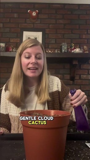 Growing Cactus From Seed