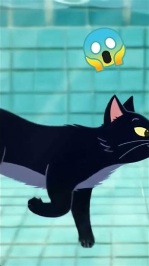 Why This Cat is Swimming in the Pool #viral #shortvideos #catshorts