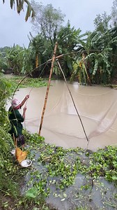 559K views · 2.8K reactions | Unbelievable Fishing in Rain | Fishing & Village Tradition | Facebook