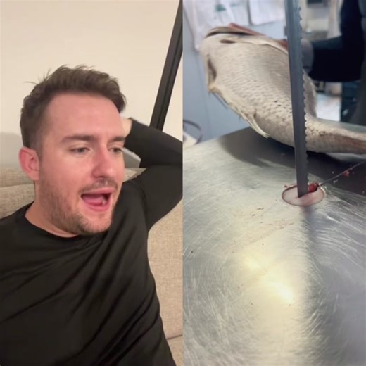 Cute and Funny Videos to Watch Compilation