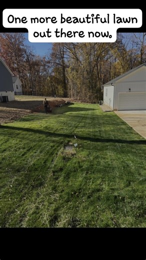 HARLEY-RAKED LAWN RENOVATION UPDATE – Two Weeks Later!  Two weeks...