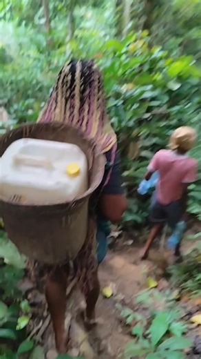 Un Tour de Marche : Découvrez la Randonnée