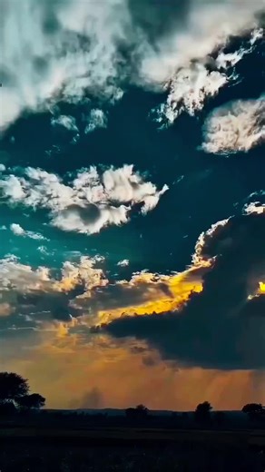 PROGENITOR on TikTok