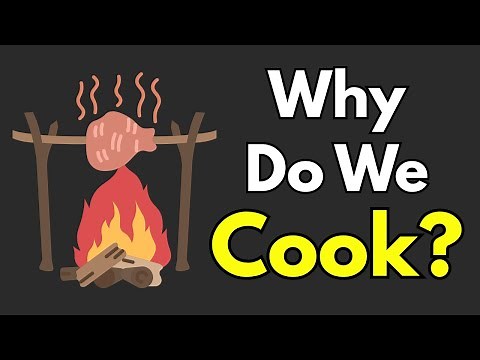 Why Do We Cook?