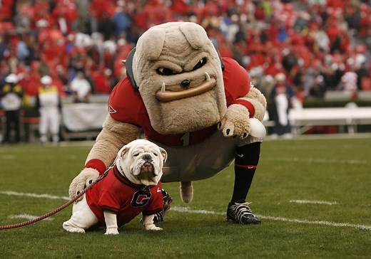 25 Best College Mascots That Represent True NCAA Tradition - Hurfpostbrasil