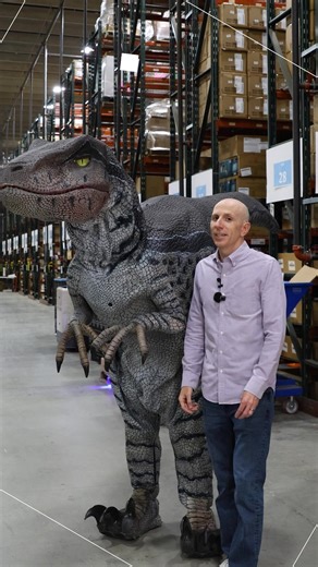 1.2K views | One site. Every costume. Endless Halloween magic.  Stop searching—start celebrating! | HalloweenCostumes.com | Facebook