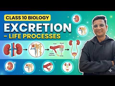 Class 10 Biology | Excretion - Life Processes in Telugu | Easy Explanation | Eduscope