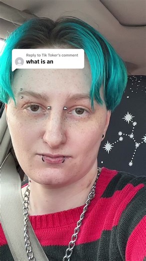 Understanding Introject Alters in Multiplicity