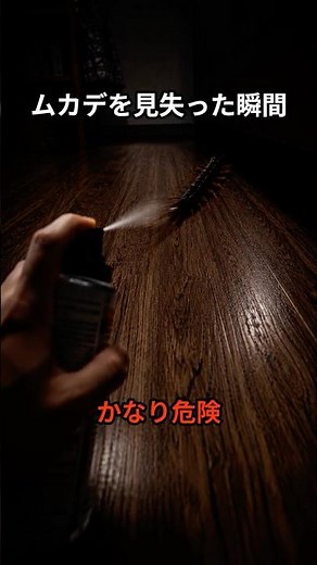 The moment you lose track of a centipede, you're in real danger
