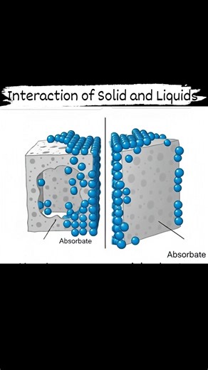 45K views · 264 reactions | Chemistry on and inside the Surface Chemistry Fundamentals #science #inorganicchemistry #Inorganic #organicchemistry #organic #physicalchemistry #physical #chemistry #adsorpt #absorb #molecules #substance | Chemistry Fundamentals | Facebook