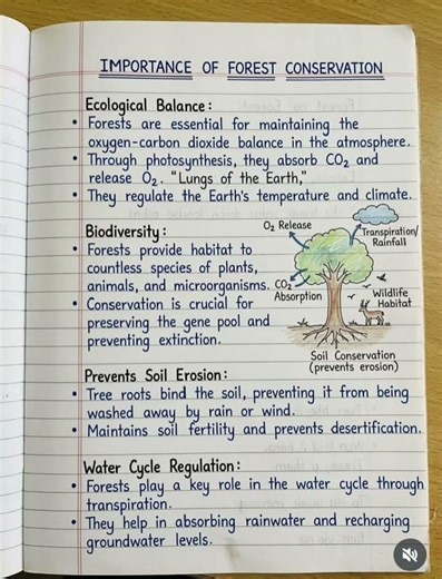 Importance for Forest Conservation #forestconservation #easynotes #easyway