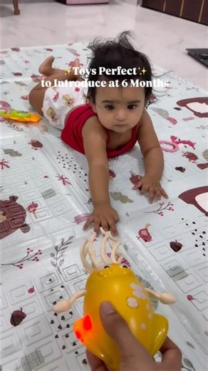 Perfect toys for 6+ month baby #sabbysingh #toys #babyproducts #cutebaby #newmommyslifestyle #baby