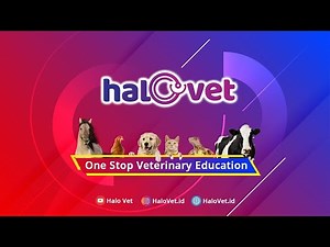 Diagnosis and Management Therapy of Sebaceous Adenitis in Dogs