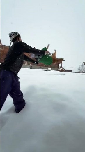 Unleash Your Inner Skier: Snowboarding vs. Skiing Demystified