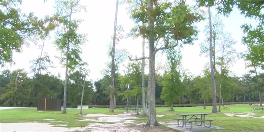 You can now check out state park pass with your library card