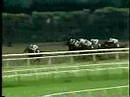 1981 Belmont Stakes