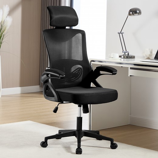 Inbox Zero Ergonomic Office Chair with Headrest, High Back Mesh Desk Chair, Adjustable Lumbar Support, Swivel Rolling Chair with Armrests for Office & Reviews | Wayfair