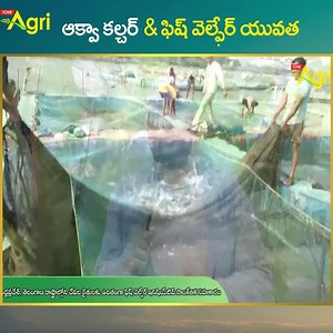 ఆక్వా కల్చర్.. Fish Welfare Initiative (FWI) Managing Director Karthik. Fish Welfare Initiative (FWI), an organization supporting the production of higher welfare fish for the first time in India, hosted the Alliance for Responsible Aquaculture: Roundtable Dialogue on Fish Welfare in Shankarpalle. #ToneAgri #FishWelfareInitiative #Aquaculture #AllianceforResponsibleAquaculture | Tone Agri | Facebook
