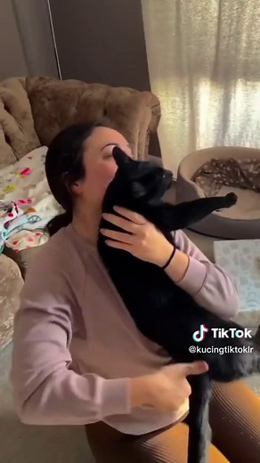 The heartwarming moment a cat owner reunited with her lost Pet after eight weeks of searching has gone viral across social media after it was captured on the family's security cameras. Amanda spent eight weeks Praying she would see Rodd again and said she never gave up hope. #cat #catviral #catsoftiktok #missingcat #cats #kucing #kucingtiktok #kucingtiktok0 #kucinghilang #kucingviral #fyp #foryou #foryourpage #zyxcba #trending #reunited