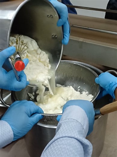 Cheese Processing- Mozzarella & Ricotta #foryoupage #fypシ #fyp