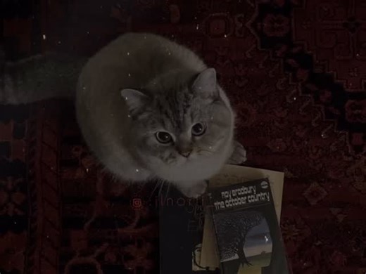 🦢🤍 on Instagram‎: "⁨ أكبر ساعة في العالم ساعة (مكة) وتقع على قمة برج الساعة في مجمع أبراج البيت بمكة المكرمة. يبلغ ارتفاعها حوالي 601 مترًا، وتتميز بأربع واجهات كبيرة يمكن رؤيتها من مسافات بعيدة. تصميمها يجمع بين الطراز الإسلامي وتضم العديد من الميزات الفريدة، بما في ذلك لفظ الجلالة “الله أكبر”، وأكبر هلال تم صنعه حتى الآن. معلومات إضافية عن ساعة مكة: الارتفاع والوزن: يبلغ ارتفاع برج الساعة 601 مترًا، ويصل وزن الساعة بالكامل إلى 36,000 طن، وفقًا لوكالة الأنباء السعودية. الواجهات: تحتوي الساعة