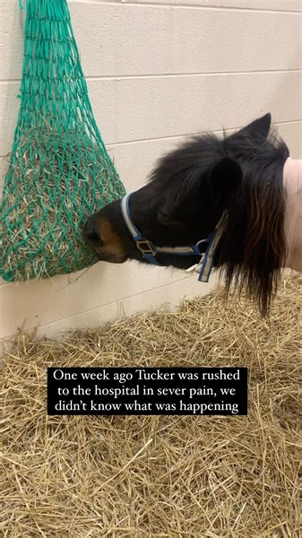 22K views · 178 reactions | I was sent this video tonight from...