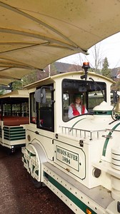 20K views · 124 reactions | All aboard the festive road train! Twinkle can’t wait to see some of her favourite animals on her journey. | Colchester Zoo | Facebook