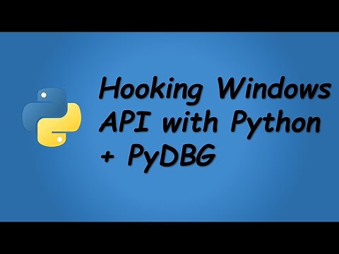 qHooK Demo (Windows API Hooking Script - Python + PyDBG) With Audio