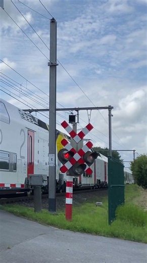 The Most BEAUTIFUL Belgian Train? 😍 #train #trains #trainspotting #railroadcrossing
