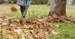 woman using electric leaf blower in garden