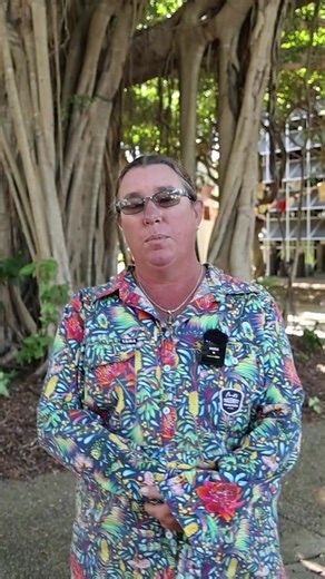 Have you seen Indian Myna birds near your place? Council is supporting a community-led initiative spearheaded by the Mackay Indian Myna Action Group to curb the number of introduced Indian Myna birds in our suburbs. Thanks to Banyule City Council for sharing some of their footage with us. | Mackay Regional Council