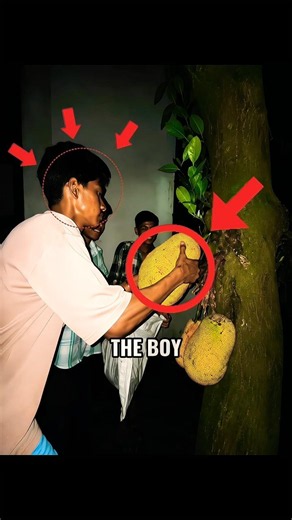 This Bangladeshi guy🇧🇩🔥 Boy in Stealing🥶 #trending #Stealing #short #viral #editing