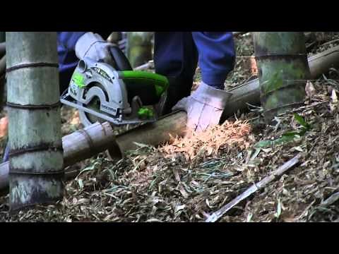 【竹山整備 No.3】伐採作業、枝払い 積み付け イノシシ被害 Bamboo mountain care