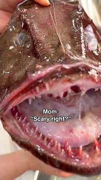 Have you tried monk fish this way?