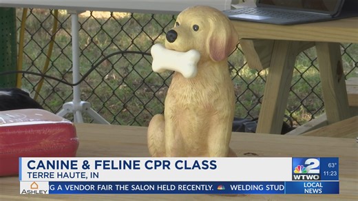 How CPR and first aid training could save your pet