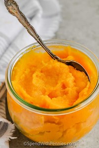 Homemade Pumpkin Puree - Spend With Pennies