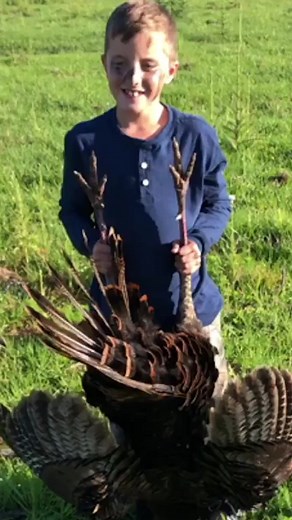 Proud parent moment 🥲 #bluegabe #bird #hunting | BlueGabe