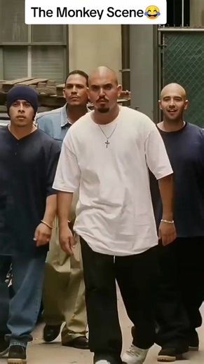 Funny Monkey Scene in Bruce Almighty Movie