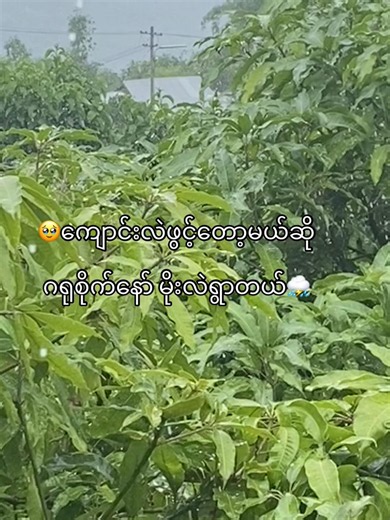 #မင်းကအပိုင့်ပဲနော်အချစ်ရယ်💕