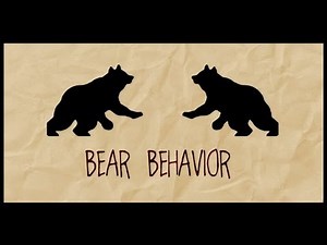 Bear Behavior